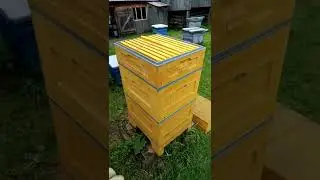 Рамка под соты, рамка под мёд в улье ппу