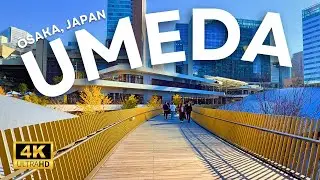 Umeda, Osaka 🇯🇵 // Late November Shopping District in Japan (4K, No Commentary Walking Tour)