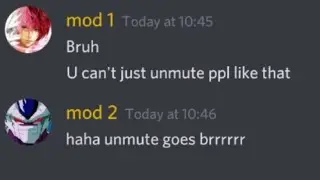 unbiased discord mod VS biased discord mod