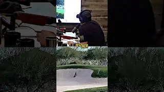 Joe Rogan Reacts To Crazy Cat Attack