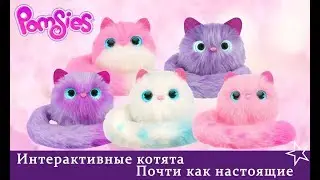 Интерактивные котики Pomsies (Помси).