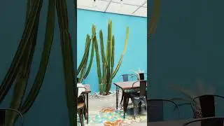 Konseptual Sekali Tempatnya Cocok Buat Instagramable #cafe #cafeaesthetic #fotografercewek #viral