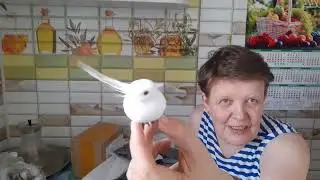 Карантин закончился. Обзор посылок с Алиэкспресс.