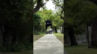 Fakie Frontside Flip Bolts! #skateboarding #shorts