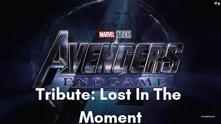 Avengers End Game Tribute: Lost In The Moment