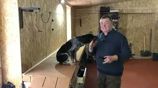 Пятое занятие с моей собачкой