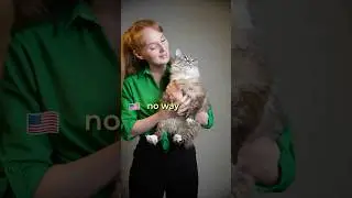 Топ фраз на английском
