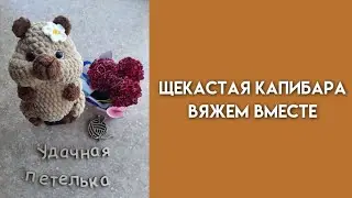 Ярмарочные игрушки/Щекастая капибара/Вяжем вместе ❤
