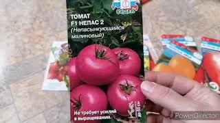 Обзор семян на сезон 2021