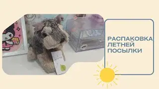 Распаковка летних вещей для Финика!) ☀️✨