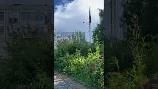 Школа № 1296, Восточное Дегунино