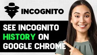How To See Incognito History On Google Chrome On Android 2024 (Step By Step Guide)