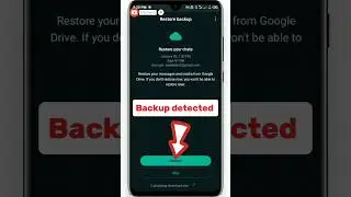 How To Recover WhatsApp Deleted Messages In 2024|Restore WhatsApp Chat Backup 