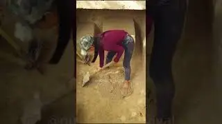 Building a Quick Soil Sack Shelter Before Nightfall  #shorts #survival #survivalshelter
