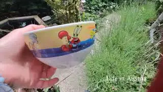 Mini-Garten. Erste Ernte von unseren Himbeeren