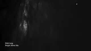 Nick Leng - Forget About Me (Official Visualizer)