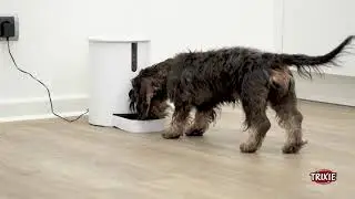 TRIXIE Automatic Feed Dispenser TX9 Smart: Feeding via App!