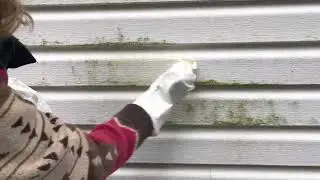 Real Estate Tip Tuesday: Vinyl Siding…