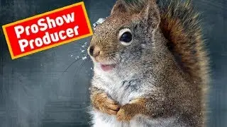 ProShow Producer Brush Opener