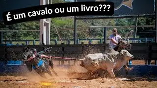 É um cavalo ou um livro???