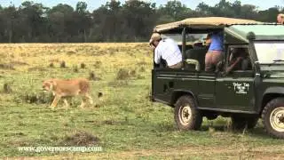 Little Governors camp Kenya  Oranje safari