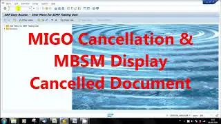 SAP MIGO Cancellation & MBSM Display Cancelled Document