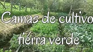 Camas de cultivo tiera verde