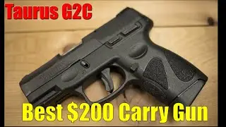 Best $200 Carry Gun