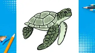 How to draw a sea turtle