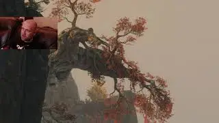 Sekiro: Karf Dies A Lot... whatsinthebox(seven)