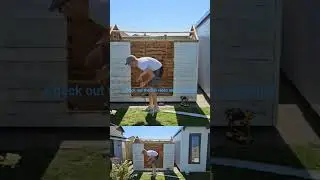 Converting my old shed into something new and fresh looking
