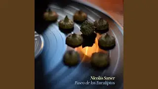 Voy