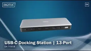 USB-C Docking Station 13-Port DA-70918