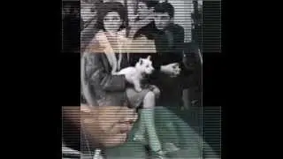 Gene Pitney  - Lay Down Your Arms