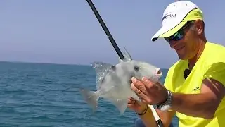 MARCO VOLPI PESCA I PESCI BALESTRA