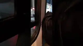 БУНТ В АВТОБУСЕ!!!