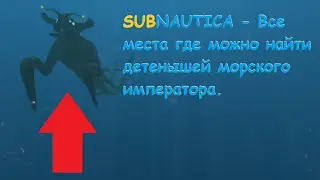 Subnautica - Все места где можно найти детенышей морского императора.