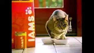 Iams Cat Food Commercial (1999)