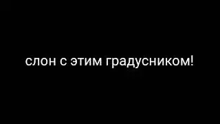 Галелео RYTP #2 лекция Пушного и градусник для зелёного слоника