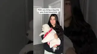 When you bring a dog into your Arab household 😭