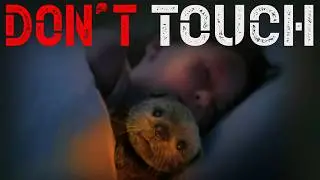2 Terrifying Tales of Cursed Kids Toys