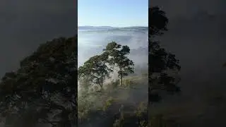 Mt Lofty Park - II (drone)