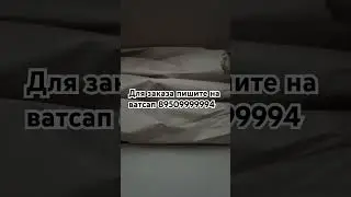 1 сентября 2024 г.