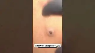 Must watch how the heck