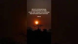 🎶 Звук есть основание жизни… 