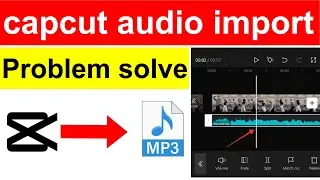 how to import music in capcut || capcut audio song add problem || capcut video editor