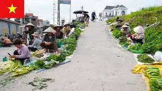 Chuong Village Market Walk | A Journey Through a Vietnamese Traditional Market