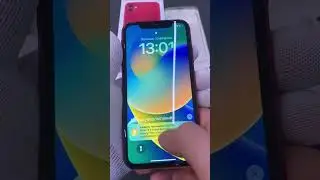 11 февраля 2023 г.