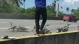 Carrera en República Dominicana