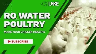 The Secret of Reverse Osmosis Water for Chicken Poultry, Discover Advantages of RO Plant